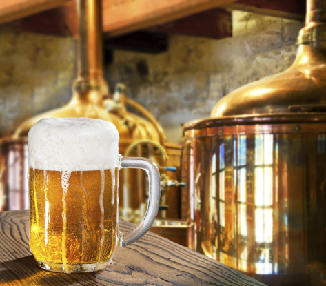 Microbrewery Tour (U Fleku)