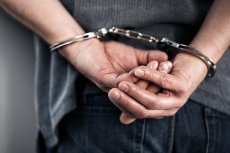Stag Arrest
