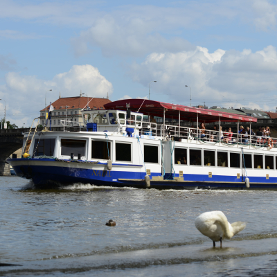 134RAS4LVqZzAU8OFvcepr-2012-07-22-239.jpg image 2