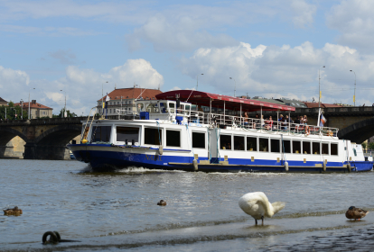 Prag Privat Strippbåt image 2