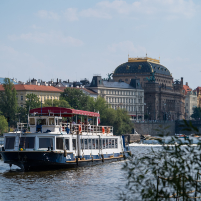 3ePsuKSD7dAx5ffuvkPrBp-2020-08-08-311.jpg image 7